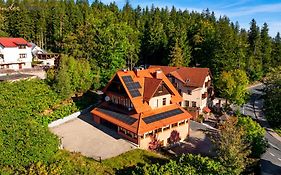 Wonder Home - Apartamenty Karkonosz blisko wyciągów narciarskich, szlaków i restauracji